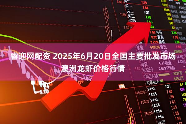 睿迎网配资 2025年6月20日全国主要批发市场澳洲龙虾价格行情