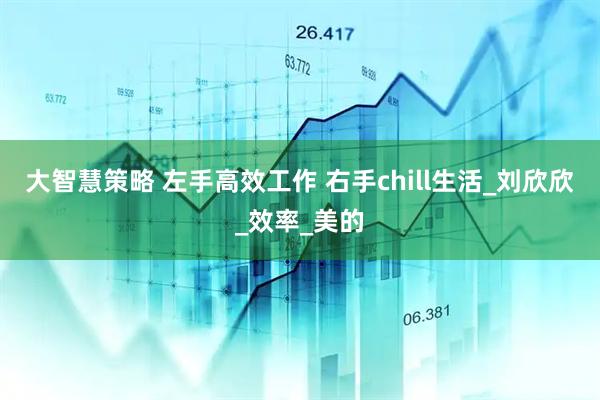 大智慧策略 左手高效工作 右手chill生活_刘欣欣_效率_美的