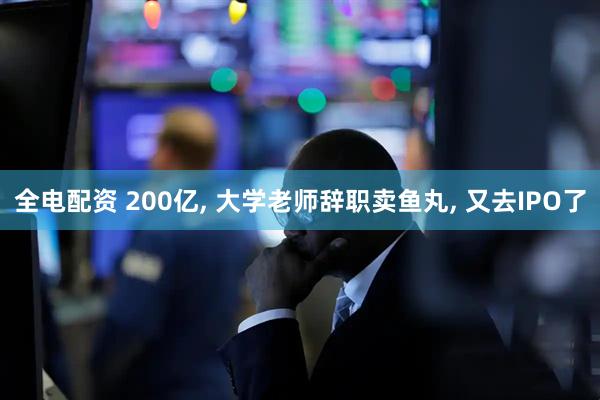 全电配资 200亿, 大学老师辞职卖鱼丸, 又去IPO了