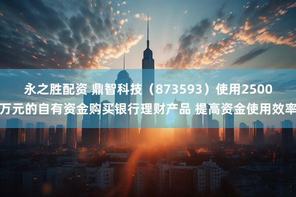 永之胜配资 鼎智科技（873593）使用2500万元的自有资金购买银行理财产品 提高资金使用效率