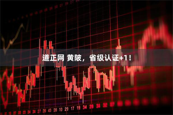 道正网 黄陂，省级认证+1！