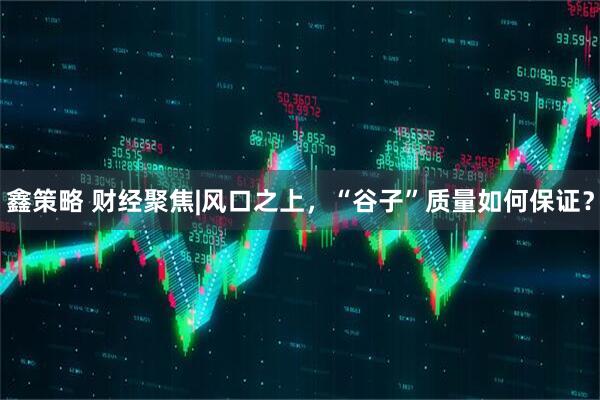 鑫策略 财经聚焦|风口之上，“谷子”质量如何保证？